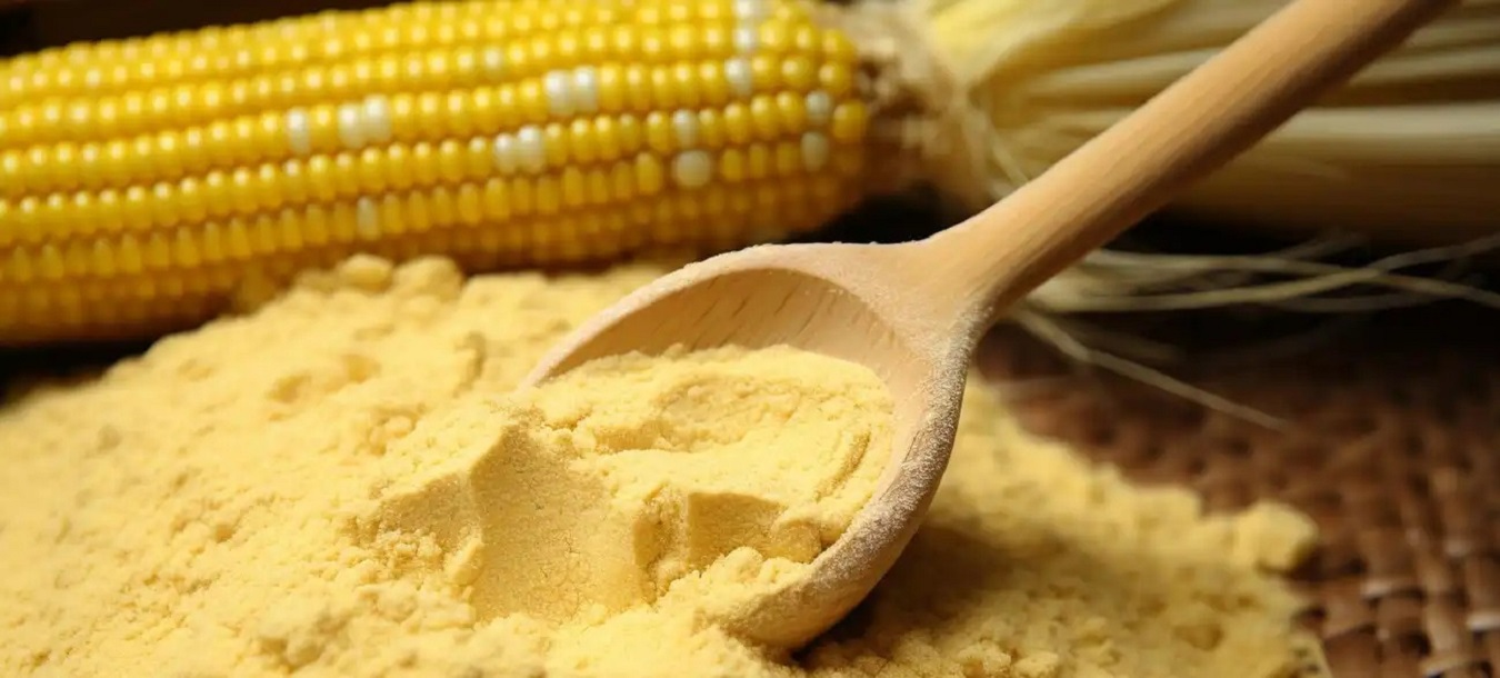 Masa Flour Manufacturer
