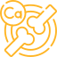Calcium Icon