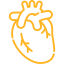 Brain Health Icon
